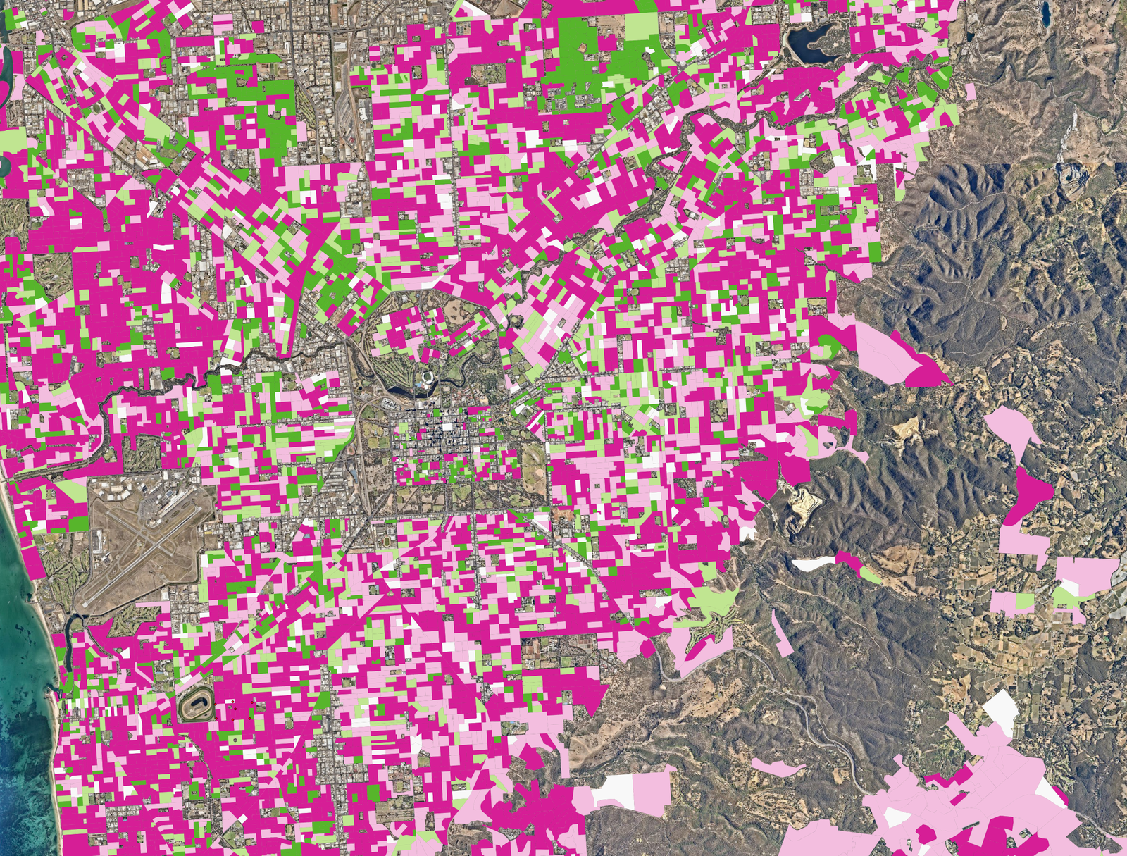 Adelaide tree canopy coverage analysis with aerial map artificial intelligence data